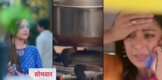 अनुपमा : बापुजी से होगी बड़ी गलती, अपनी जान को जोखिम में डालेगी अनुपमा !